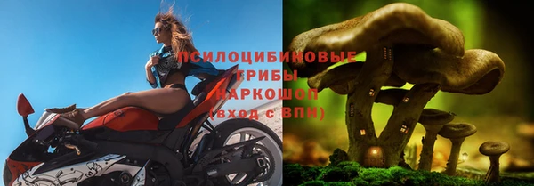 гашик Волосово