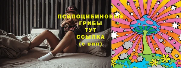 гашик Волосово