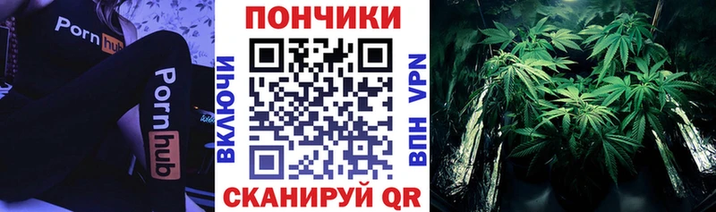 Купить закладки  Старый Крым  Канабис планчик 